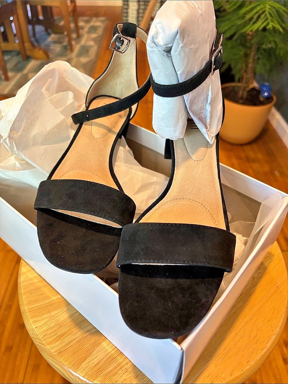 J. Jill Black Suede Heels US 7.5 NWT
